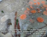 Foto langkah ke 4 dari resep Gulai manih.