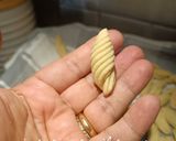 Foto del passaggio 1 della ricetta Conchiglie alla marinara
