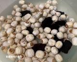 A picture of step 5 of Black Date, Snow Fungus, and Lotus Seed Sweet Soup.
