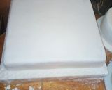 A picture of step 19 of Fondant.