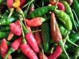Sambel Kecambah