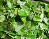 Hình bước làm 1 của món Canh rau chùm ngây nấu tôm thịt