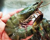 รูปขั้นตอนการทำที่ 1 ของ กุ้งลายเสืออบวุ้นเส้น