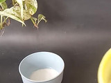 Puding Coklat Susu Edible Flower