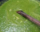 Palak paneer(spinach with cottage cheese) curry#foodphotography recipe step 7 photo