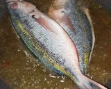 Foto langkah ke 1 dari resep Ikan lolosi bumbu merah.