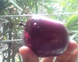 Foto del paso 5 de la receta: Guiso de lentejas
