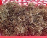 Hình bước làm 1 của món Xu-Xoa xứ Quảng (phiên bản Sàigòn)