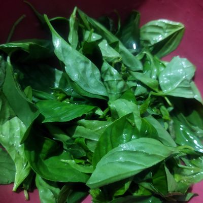 Langkah 5