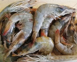 Foto del paso 2 de la receta: Fideuá de fideo grueso con Mejillones y Langostinos