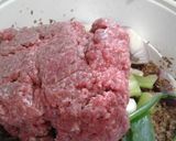 Foto del paso 1 de la receta: Kibbe frito