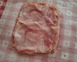 Foto del passaggio 3 della ricetta 🦃Polpettone di tacchino filante 🧀