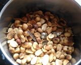 A picture of step 4 of Makhana burfi.