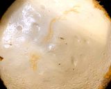 Foto del paso 5 de la receta: Tarta de Queso y albaricoque