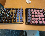 Foto del paso 8 de la receta: Cake pops muy fáciles