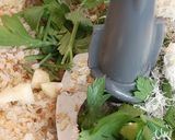 Foto del passaggio 7 della ricetta Fagottini di zucca con mozzarella e muddica, al forno