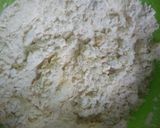 Foto langkah ke 1 dari resep Pastel Kering.