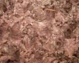 Foto del paso 1 de la receta: Hamburguesa de lenteja y carne picada