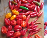 A picture of step 1 of Chilli pickle.