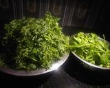 चना का साग (Chana Ka saag recipe in Hindi) रेसिपी चरण 1 फोटो