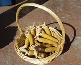 Foto del paso 6 de la receta: Huachales
