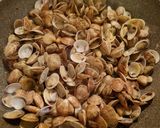 Foto del passaggio 2 della ricetta Vongole lupino e cavolini