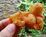 Foto langkah ke 5 dari resep Gimbal udang.
