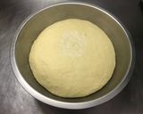 A picture of step 3 of Honey Scallion & Butter Dinner Rolls with Pre-Ferment.
