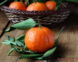 Foto del paso 1 de la receta: Cake de mandarina y jengibre