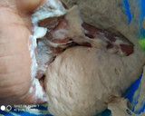 A picture of step 3 of Puff puff(foda fetta in my language).