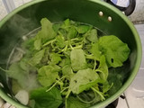 Sayur Bayam