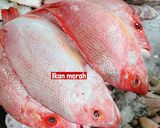 Gambar langkah 1 resipi 👩🍳Sup Ikan Merah Kurma Merah.