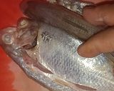 Foto langkah ke 1 dari resep Pindang serani khas jepara.