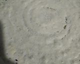 A picture of step 1 of Jini dosa.