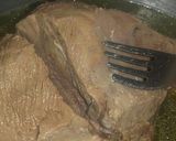 Foto del paso 4 de la receta: Lengua a la vinagreta