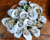 Hình bước làm 2 của món Hàu nướng phomai