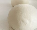 A picture of step 3 of No knead Pizza Dough.