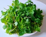 Hình bước làm 3 của món Gỏi BƯỞI tai heo