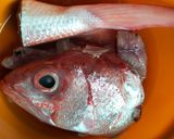 Foto langkah ke 2 dari resep Ikan Kuah Kuning.