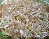 Foto langkah ke 1 dari resep Tumis Tauge Sosis.
