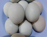 Foto langkah ke 1 dari resep Telur Asin Bawang Putih Homemade.