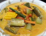 Foto langkah ke 6 dari resep Sayur Lodeh Terong Hijau.