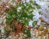 A picture of step 4 of Punjabi dish Pakora karhi.