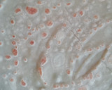 A picture of step 6 of Soft layered pancake#4weekchallenge.