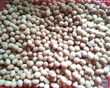 Foto langkah ke 6 dari resep Kacang Telor Renyah.