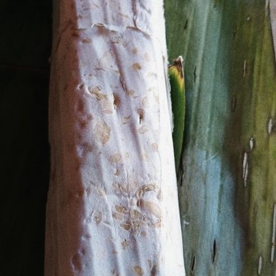 Langkah 1