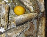 Foto del paso 2 de la receta: Colas de pescadilla al horno y espinacas con ajos