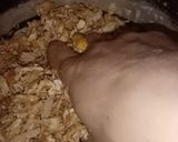 صورة لخطوة 3 من وصفة كفته الفراخ 😋😋😋