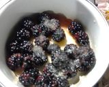 Foto del paso 1 de la receta: Panna cotta de coco con coulis de zarzamora 🥥