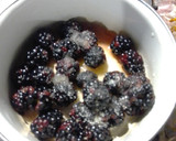 Foto del paso 1 de la receta: Panna cotta de coco con coulis de zarzamora 🥥